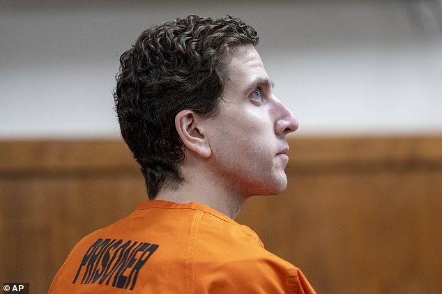 Why Idaho murders suspect Bryan Kohberger may have chosen to ‘stand silent’ in plea hearing